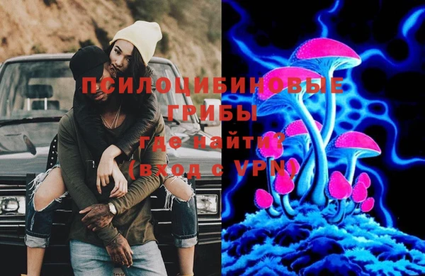 соль ск Алзамай