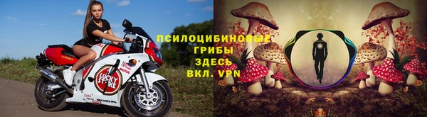 соль ск Алзамай